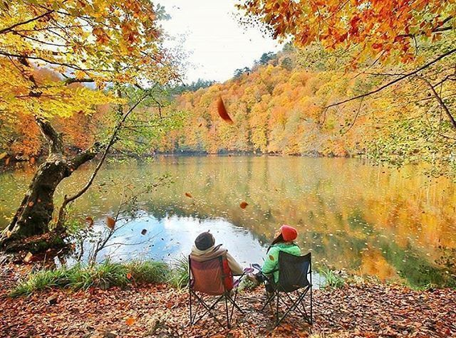 Yedigöller Kamp, Piknik ve Park Kuralları
