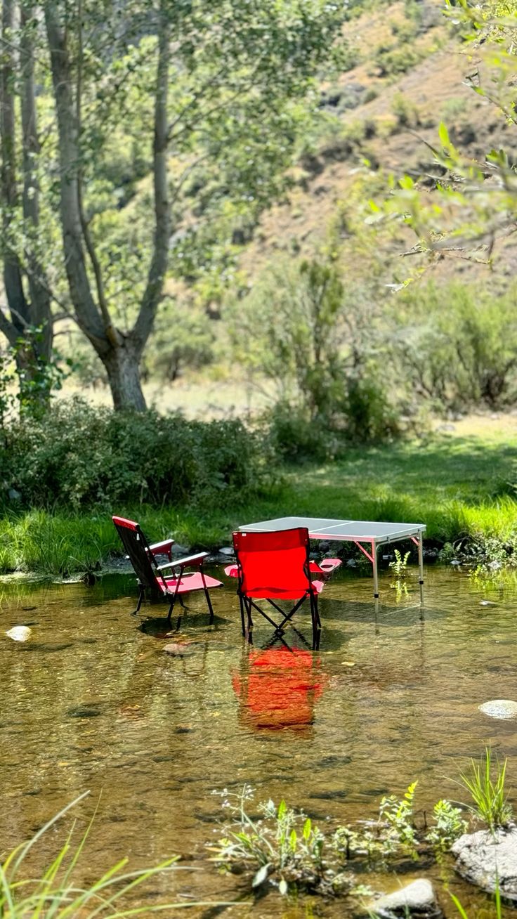 Kamp ateşi