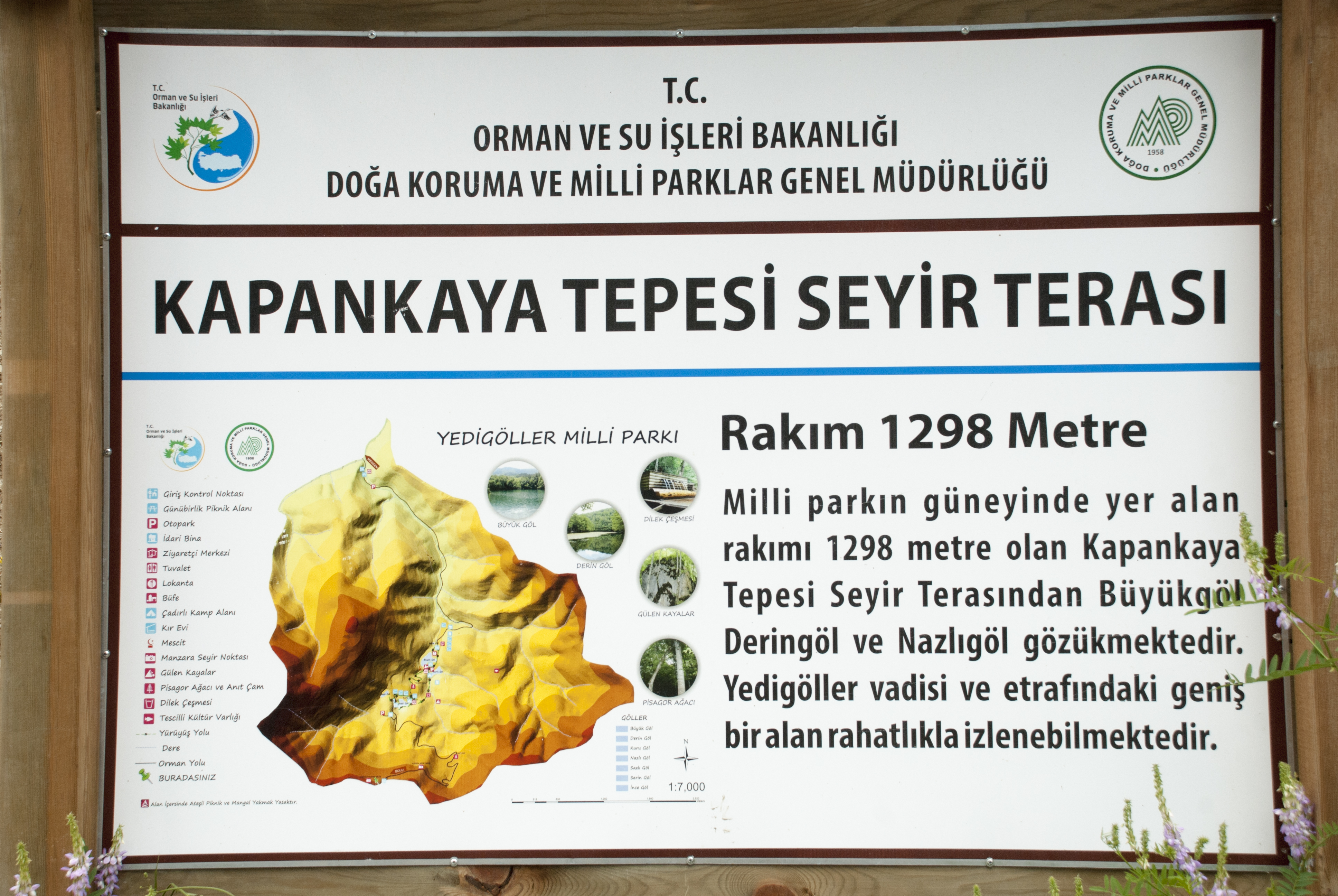 Yedigöller Fotoğraf Noktaları ve 360 Sanal Tur Durakları