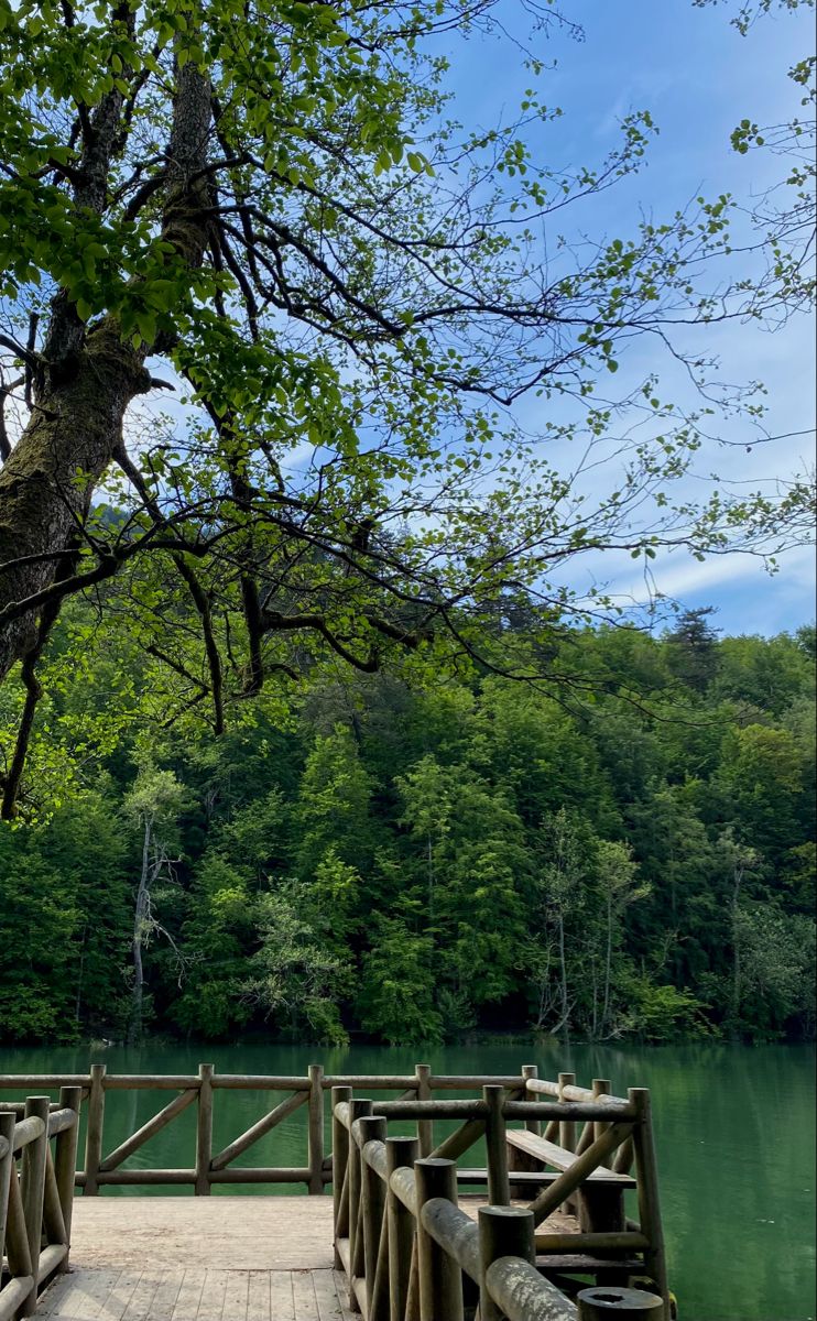 Park terası